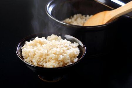 【令和7年産新米予約】「米屋のこだわり阿賀野市産」GOZU自然米 玄米５kg 10月下旬より順次発送 1E14026