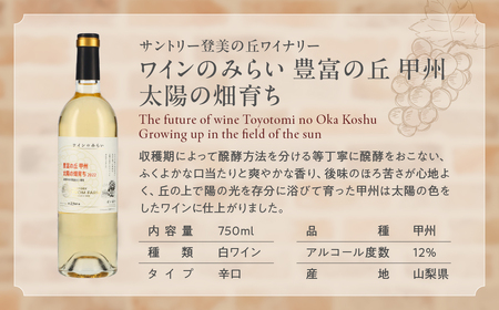 甲斐市ワインワイナリー堪能６本セット 山梨 ワイン 赤ワイン 白ワイン 甘口 辛口 飲み比べ 山梨県 甲斐市 AD-252