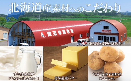 3447.  弟子屈 バターチキンカレー 1個 中辛 チキン 鶏肉 業務用 レトルトカレー レトルト  スパイス 即席 ご飯のお供 保存食 備蓄 非常食 常温 まとめ買い お取り寄せ グルメ 送料無料