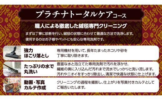 【シルク段通・ペルシャ絨毯】宅配 絨毯 クリーニング チケット │ プラチナトータルケアコース（5平米以内）約200cm×250cm 宅配 クリーニング 洗濯 洗浄 清潔 じゅうたん ラグ カーペット
