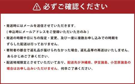 【3回定期便】カマンベールプレーン ～ミニタイプ～ 10個入り×3セット 合計90個 3回 カマンベール カマンベールチーズ チーズ 手造り 個包装 花畑牧場 定期便 北海道 中札内村 冷蔵 [002
