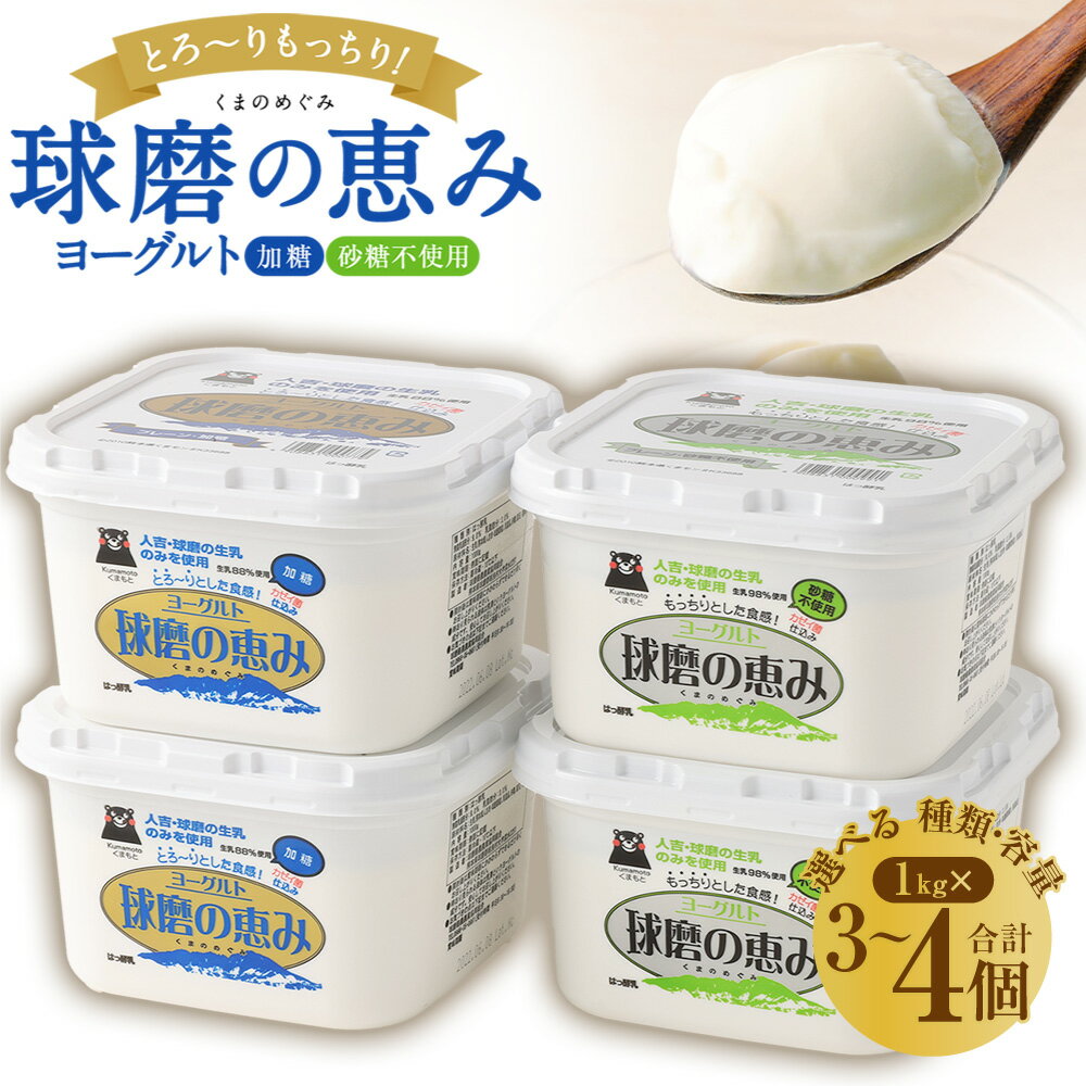 【ふるさと納税】【選べる 種類・容量】 とろ〜り食感!!球磨の恵みヨーグルト 砂糖不使用タイプ 加糖タイプ 2種セット 1kg×3パック 1kg×4パック 計 3kg 4kg 乳製品 ヨーグルト 加工品 熊本県 あさぎり町 送料無料 お届け時期：入金確認後20日前後