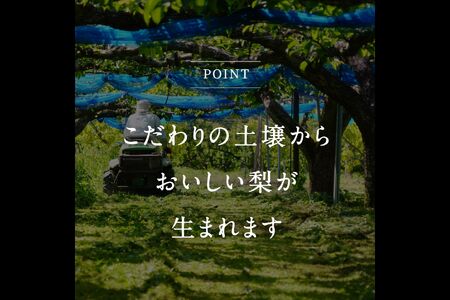 鳥取県南部町産　井田農園の王秋[梨]（3kg箱）＜11月～出荷開始＞　氷温保存