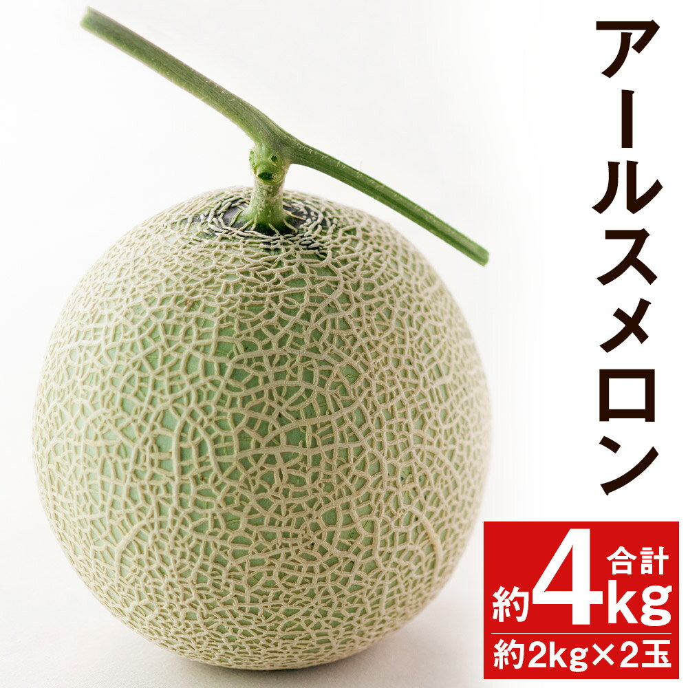 【ふるさと納税】アールスメロン 約2kg×2玉 合計約4kg【養生市場】 メロン 果物 フルーツ マスクメロン 九州産 熊本県産 送料無料 《2025年10月中旬頃より順次発送予定》