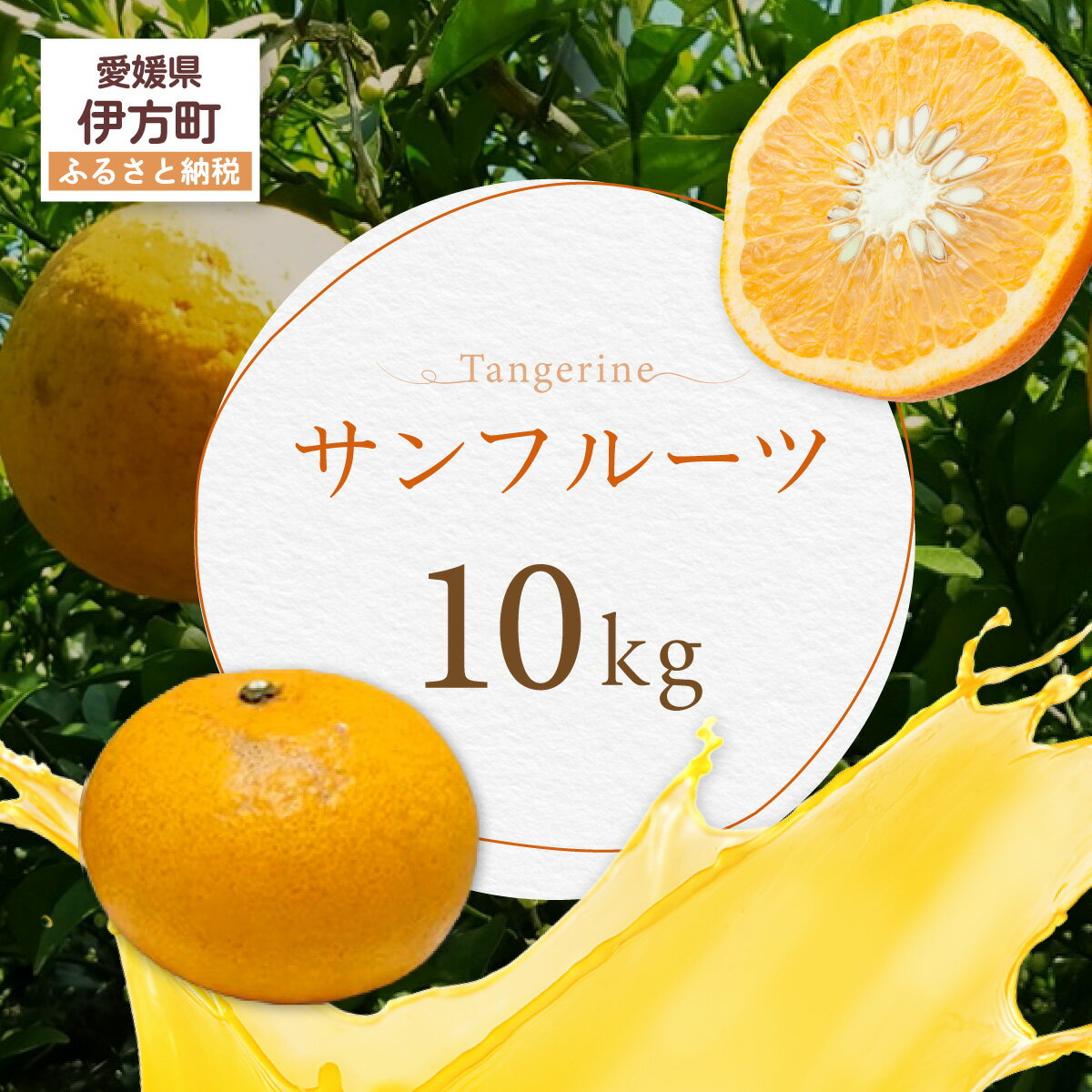 【ふるさと納税】サンフルーツ 【ふるさと納税 人気 おすすめ ランキング サンフルーツ みかん ミカン オレンジ 無農薬 有機栽培 佐多岬半島 農家直送 住吉丸農園 愛媛県 伊方町 送料無料】 IKTBN006
