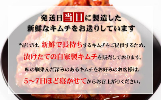 辛口 白菜 キムチ 500g ピリ辛 手作り ごはんのお供 お米 ごはん ビール 酒の おつまみ 小分け 食べ切り 北海道 昆布 国産 煮干し りんご 桃 果物 使用 漬け物 特製 新鮮 野菜 父の日