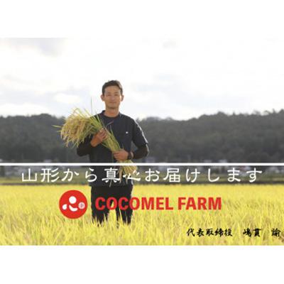 ふるさと納税 川西町 【令和7年産】特別栽培ササニシキ　精米 5kg |  | 03