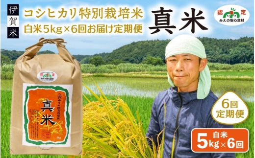 伊賀米コシヒカリ特別栽培米「真米」白米5kg ×6回お届け定期便【ymnk-tkb0003】