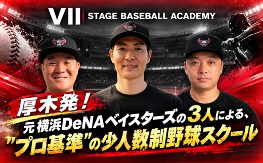 【野球教室1日体験】元横浜DeNAベイスターズ 武藤祐太が直接指導｜投手コース 【小学生推奨】 【水曜 17時～ 】 神奈川県 厚木市 Ⅶ STAGE BASEBALL ACADEMY SSB004