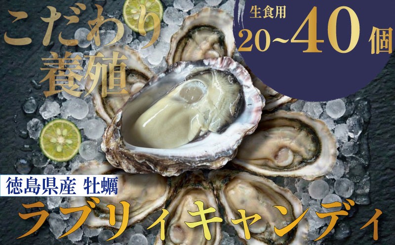 
                  【先行予約】選べる容量 牡蠣 生牡蠣 殻付き 20個 40個 生食可 冷蔵 (ナイフ付き) ラブリィキャンディ 真牡蠣 かき カキ ブランド 旬 新鮮 海鮮 濃厚 料理 鍋 牡蠣鍋 カキフライ バーベキュー BBQ キャンプ おいしい TV テレビ 徳島県 鳴門市
                