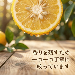 柚子シロップ 550ml×2本（柚子果汁と砂糖のみ）abuiro