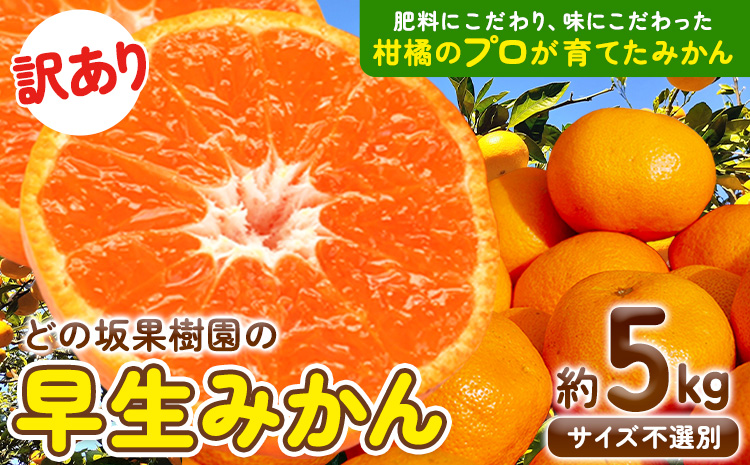 みかん 和歌山 訳あり 早生 みかん 5kg (サイズ おまかせ) どの坂果樹園《12月上旬-1月末頃出荷予定》 和歌山県 日高町 産地直送 家庭用 規格外 不揃い 果物 柑橘 サイズ 不選別 訳ありみかん わけありみかん 送料無料