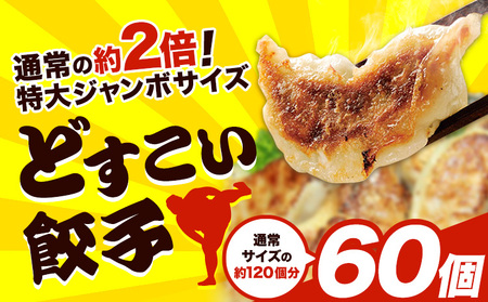 餃子 どすこい餃子 冷凍 60個 浜あげ吉田屋 | 餃子