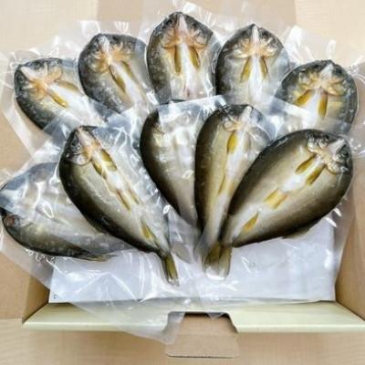 ふるさと納税 長浜市 びわこ生まれの鮎　一夜干し　10枚(個別真空パック包装)無添加　背骨なし |  | 02