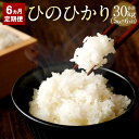 【ふるさと納税】【6か月定期便】 竹田市産 名水育ち ひのひかり 5kg×6か月 合計30kg 3年(2018年・2019年・2020年)連続 特A受賞 お米 白米 精米 定期便 大分県産 九州産 ヒノヒカリ 送料無料