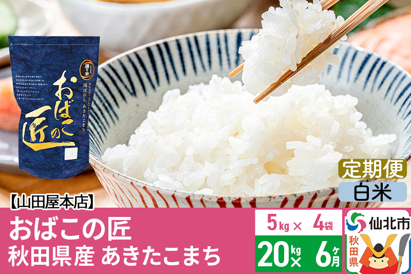 【白米】《定期便6ヶ月》令和5年産 仙北市産 おばこの匠 20kg（5kg×4袋）×6回 計120kg 秋田県産あきたこまち 秋田こまち お米 6か月 6ヵ月 6カ月 6ケ月