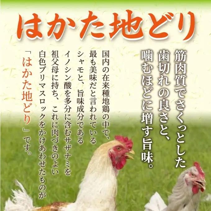 はかた地どり炭火焼セット 500g(100g×5p) はかた地どり 地鶏 炭火焼 おつまみ 郷土料理 小分け お手軽 福岡県 八女市 214-048