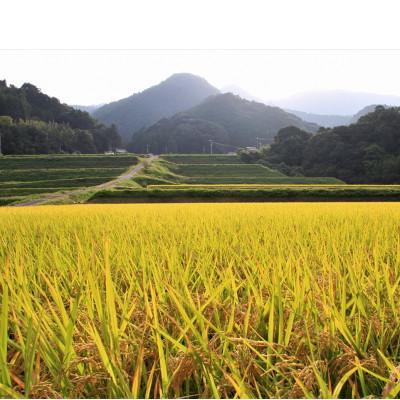 ふるさと納税 東温市 〈坂本自然農場 穂田琉〉 特別栽培米:にこまる　精米5kg |  | 03