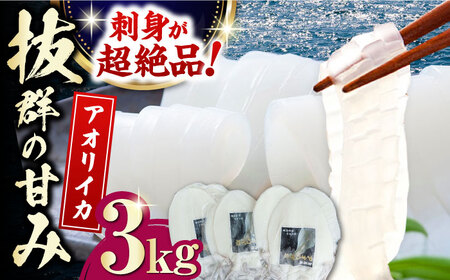 対馬産 アオリイカ 3kg烏賊 いか 刺身 海鮮 冷凍  [WAA031]