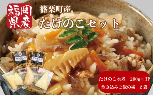 
BZ008 篠栗産たけのこ セット たけのこ水煮 炊き込みご飯 タケノコ 筍
