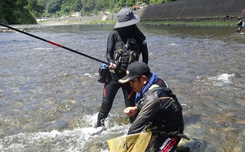 錦川 遊漁券 年券 アユを含む全魚種 / 釣り 川釣り 鮎釣り アユ 鮎 サツキマス マス コイ ウナギ モクズカニ 渓流釣り 鮎ルアー 釣り券 年間 アウトドア 趣味 清流 贈答 ギフト プレゼント