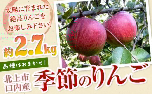季節のりんご 約 2.7kg（8～10個） 口内産 9月発送開始 岩手県 北上市 産地直売所 あぐり夢 くちない B0417 品種おまかせ お試し ふじ シナノゴールド りんご リンゴ 林檎 果物 フルーツ おやつ お土産 お歳暮 お中元 お祝い 子供 ファミリー 家庭