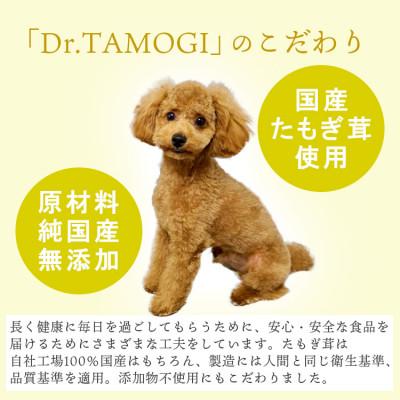 ふるさと納税 あさぎり町 犬用おやつ 「Dr.TAMOGI(ふりかけ) 80g×1袋」純国産 |  | 02