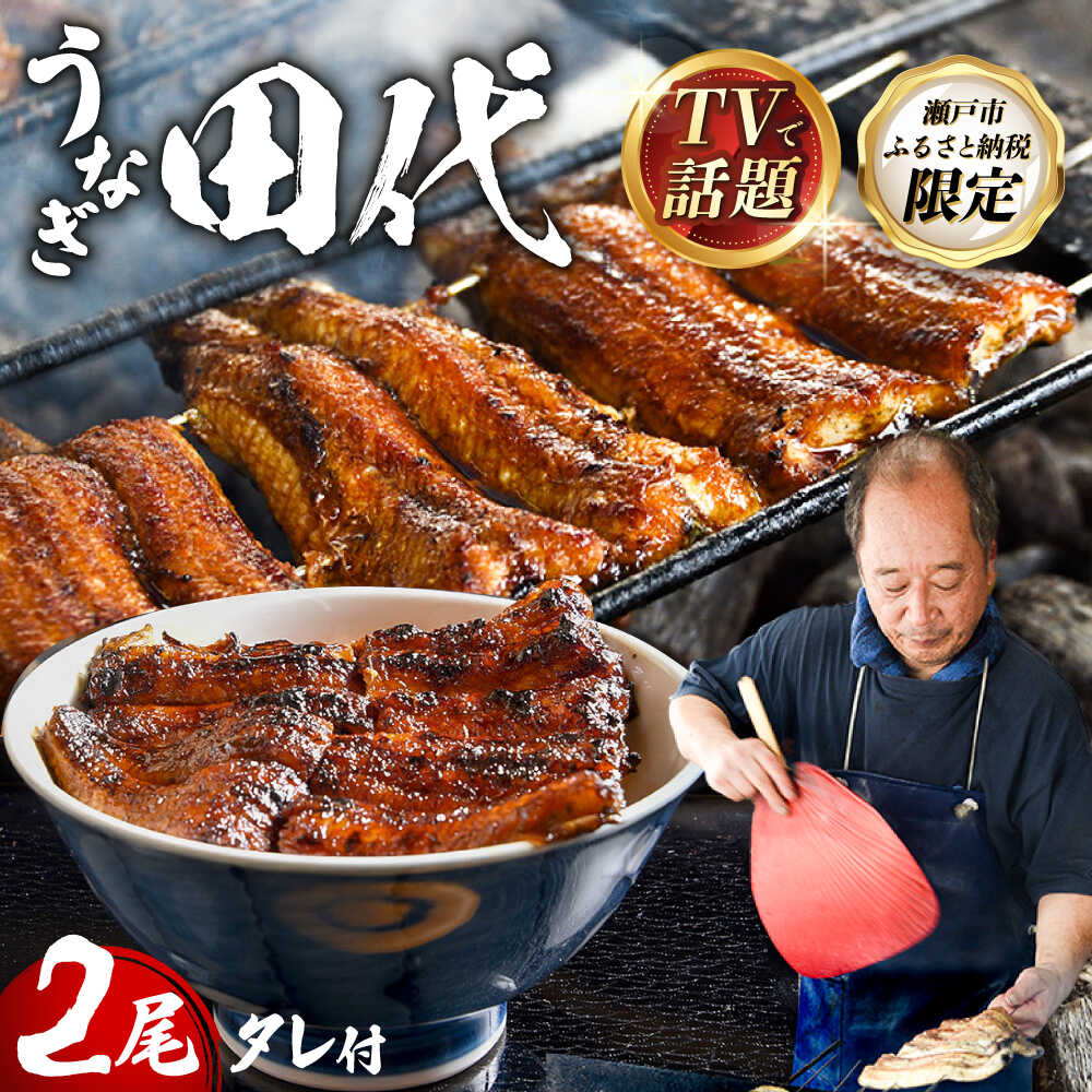 【ふるさと納税】【TVで話題沸騰！】 炭火焼き 国産うなぎ 蒲焼 2尾 / 取り寄せ 田代 うなぎ 愛知県 尾張瀬戸 / 瀬戸市 / うなぎ田代[BBCA002]