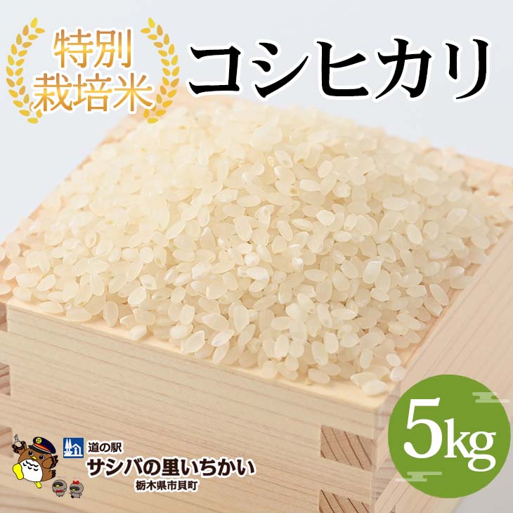 【ふるさと納税】特別栽培米〈コシヒカリ〉5kg ｜ 国産 栃木県産 コシヒカリ 米 お米 特別栽培米 精米 白米 栃木米 とちぎ米 産地直送 送料無料 ※離島への配送不可 ※2025年9月中旬頃より順次発送予定