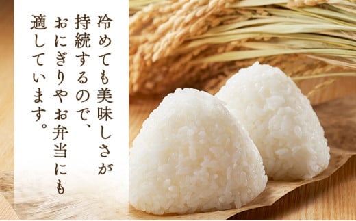 【令和7年産新米】瀬川農場まっしぐら 精米5kg【ご飯 ごはん 米 こめ お米 弁当 精米 一等米 国産米 県産米 ブランド米 おにぎり 国産 青森県 七戸町】【02402-0333】 5kg