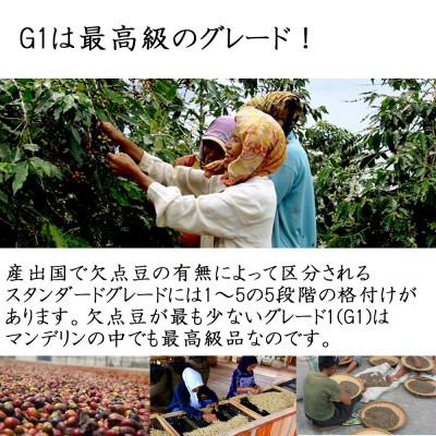 ふるさと納税 綾瀬市 インドネシア コーヒー豆 400g(豆) 一度飲んだら“虜”に!新鮮な美味しさに驚くはず!! |  | 03