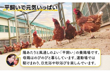 たまご 鶏卵 佐賀県鹿島産 平飼い卵「うみとやまとこっこ」上田養鶏場 たまご40個 卵 タマゴ 生卵 玉子焼き 卵焼き 玉子焼き 佐賀産 国産 たまご 美味しい卵 B-390