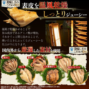 訳あり 干物 4.5kg 【2026年5月発送】 山由水産 干物