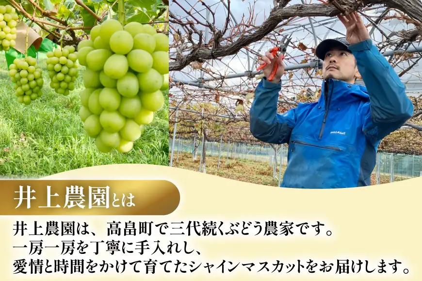 【期間限定発送】 シャインマスカット 冬出し 3～4房 約2kg