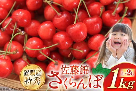 【期間限定発送】 さくらんぼ 置賜産 佐藤錦 特秀 L～2L バラ詰 1kg [JA山形おきたま 山形県 高畠町 tk06ays870047]