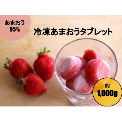 ふるさと納税 遠賀町 【あまおう95%】いちごの冷凍タブレット約1000g(遠賀町)