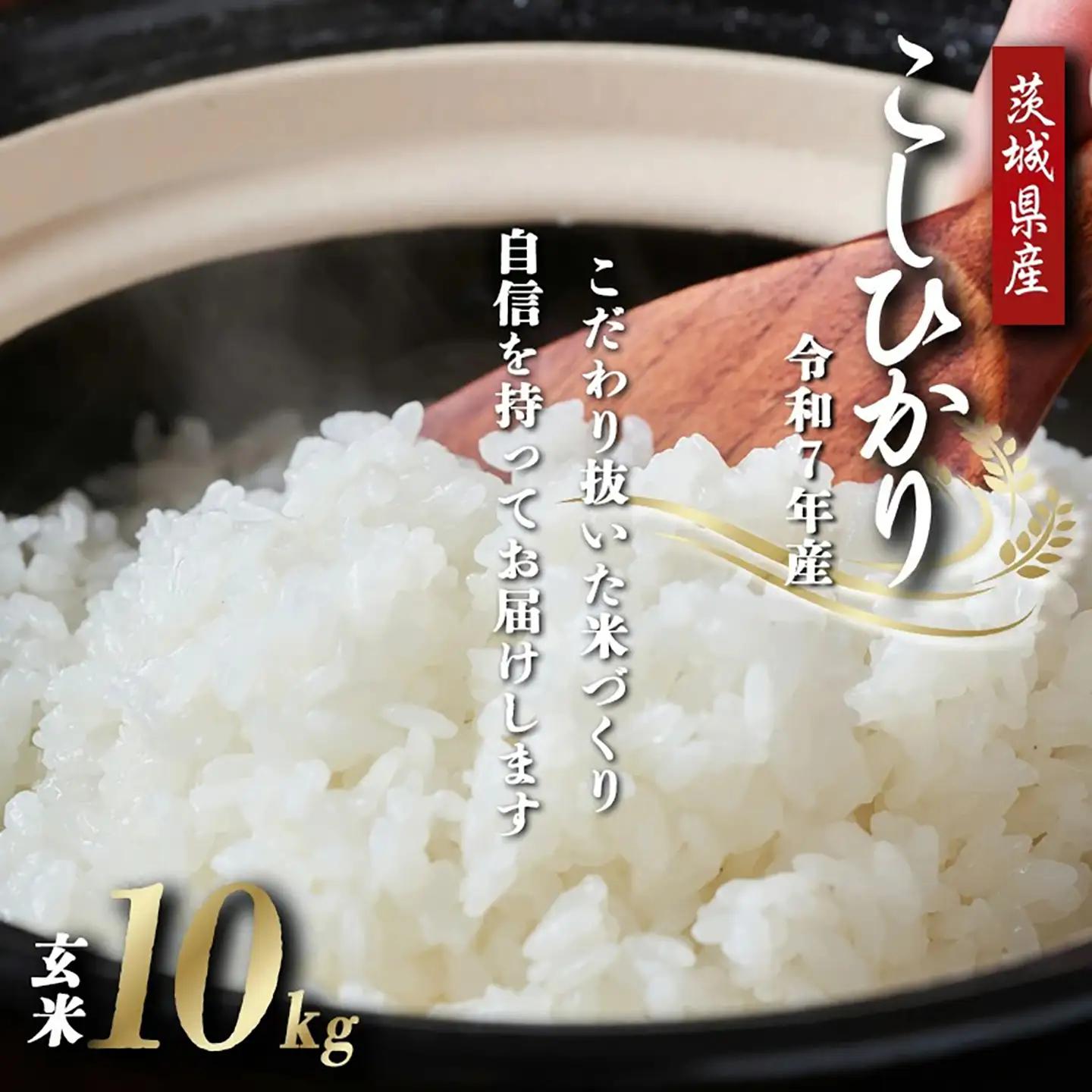 【玄米】令和7年産 コシヒカリ玄米 10kg 米