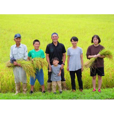 ふるさと納税 南魚沼市 令和7年産　南魚沼産 ~新之助~ 精米 (10kg) |  | 02