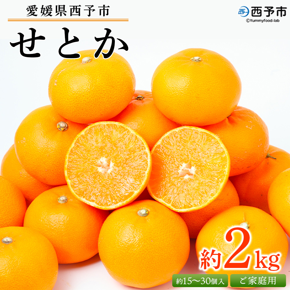 先行予約＜愛媛県西予市産 せとか ご家庭用 約2kg＞約7〜15個入 訳あり 果物 フルーツ みかん ミカン オレンジ 柑橘 食べて応援 特産品 愛媛県 西予市【常温】『2026年2月下旬〜4月上旬迄に順次出荷予定』