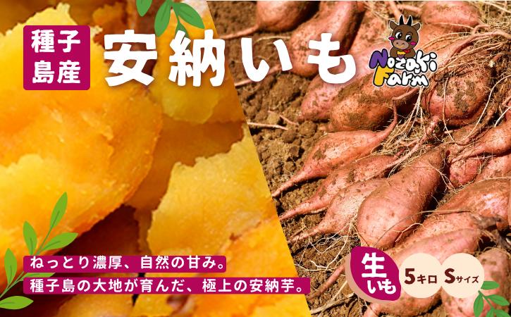 
                  【 先行予約 】 種子島 野﨑ファーム 安納いも ( 紅 )  S サイズ 5kg　NFN654【300pt】// 安納芋 本場  糖度 熟成期間 G.I 保護制度 ブランド  生いも 芋 いも さつまいも 
                