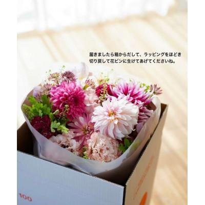 ふるさと納税 芸西村 【毎月定期便】芸西村産季節のおすすめ生花花束　初回花瓶付　毎回延命剤付【t157tmf】　全3回 |  | 02