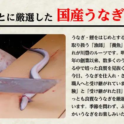 うなぎ 川豊 上蒲焼 3人前 セット 蒲焼 国産 うなぎ