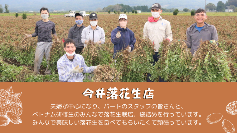 訳あり お徳用 茨城県産 生落花生 合計520g (260g×2袋) 簡易包装 ポスト投函 ご自宅用 ピーナッツ 落花生 ナッツ [BB010sa]