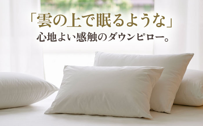 【高島屋選定品】〈富士新幸九州〉「GuuG」50×70cm ダウンピロー アップサイクル ダウン50%《壱岐市》[JFJ043] 22000 22000円 