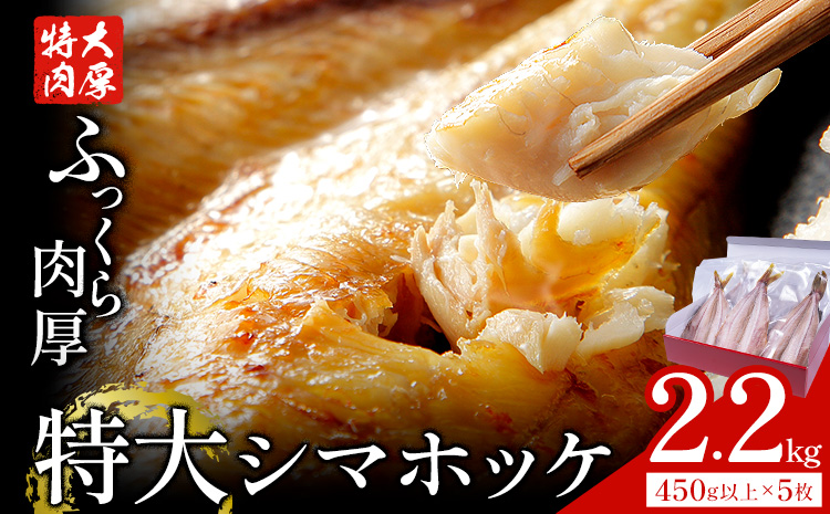 特大 シマホッケ 開き 5枚 約450g 合計 約2.2kg 株式会社西川《6月上旬-6月末頃出荷》千葉県 勝浦市 特大肉厚 シマホッケ しまほっけ ほっけ 送料無料【配送不可地域あり：離島】