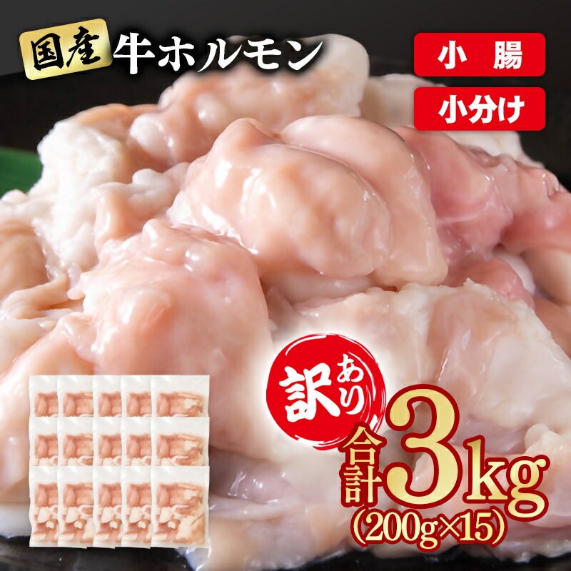 【ふるさと納税】訳あり牛ホルモン3kg 小分け200g×15 国産 ホルモン 小腸 もつ鍋 焼肉用 国産牛 牛モツ コラーゲン＜2-111＞ YAMA