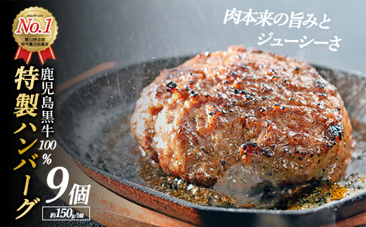 鹿児島黒牛特選ハンバーグ9個入り【nixy中山亭】chuzan-6124