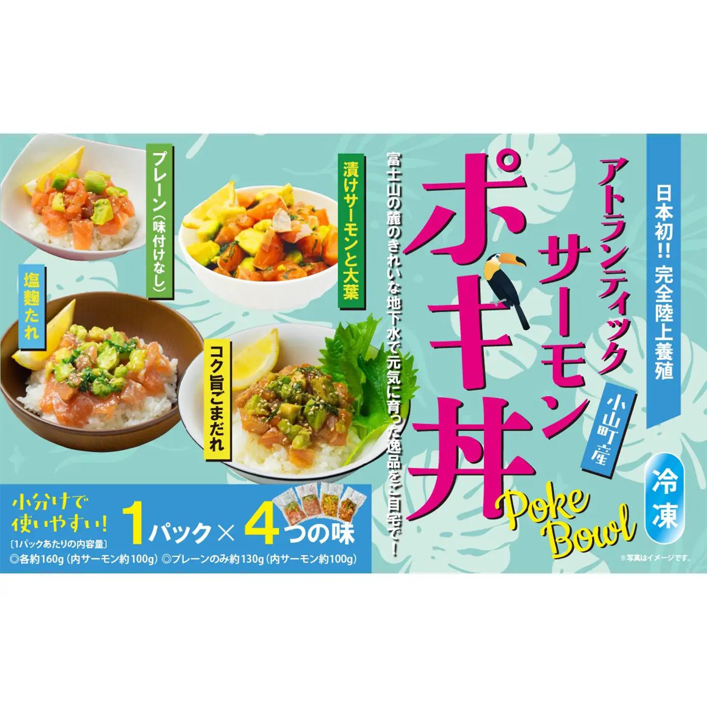 ポキ丼 サーモン 冷凍 食べ比べ 約160g/約130g×1P×4つの味 サーモン 海鮮丼