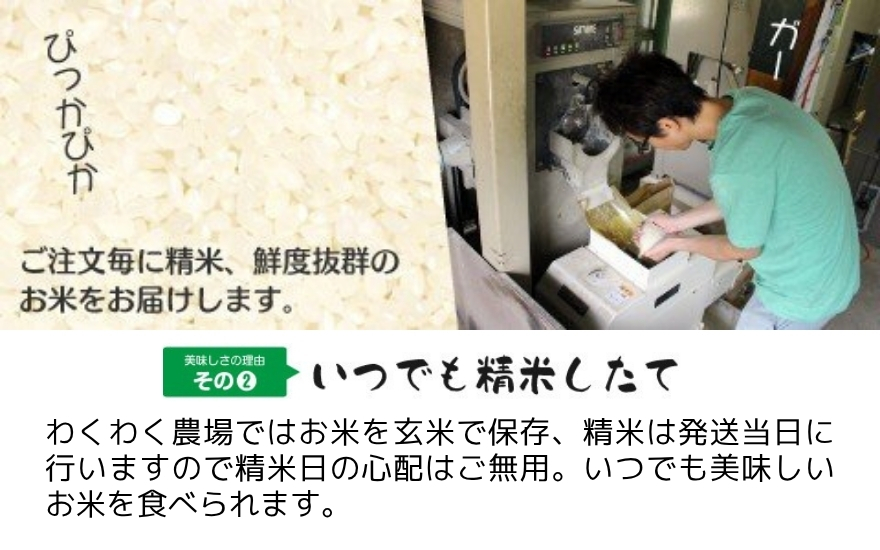 【先行予約】令和8年産【定期便 6ヶ月】米 10kg (5kg × 2袋)×6回 五泉産 新之助 | 白米 精米 しんのすけ お米 おこめ 新潟県 五泉市 わくわく農場