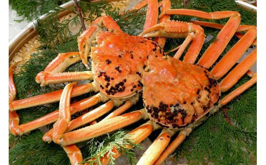 【訳アリ】松葉ガニ（ボイル）2枚（計1.6kg以上）【年明け配送】【訳あり 松葉がに 松葉蟹 ズワイガニ 蟹 カニ かに 国産 人気 おすすめ 鳥取県 琴浦町 送料無料】
